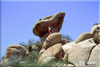 Wonderland of Rocks